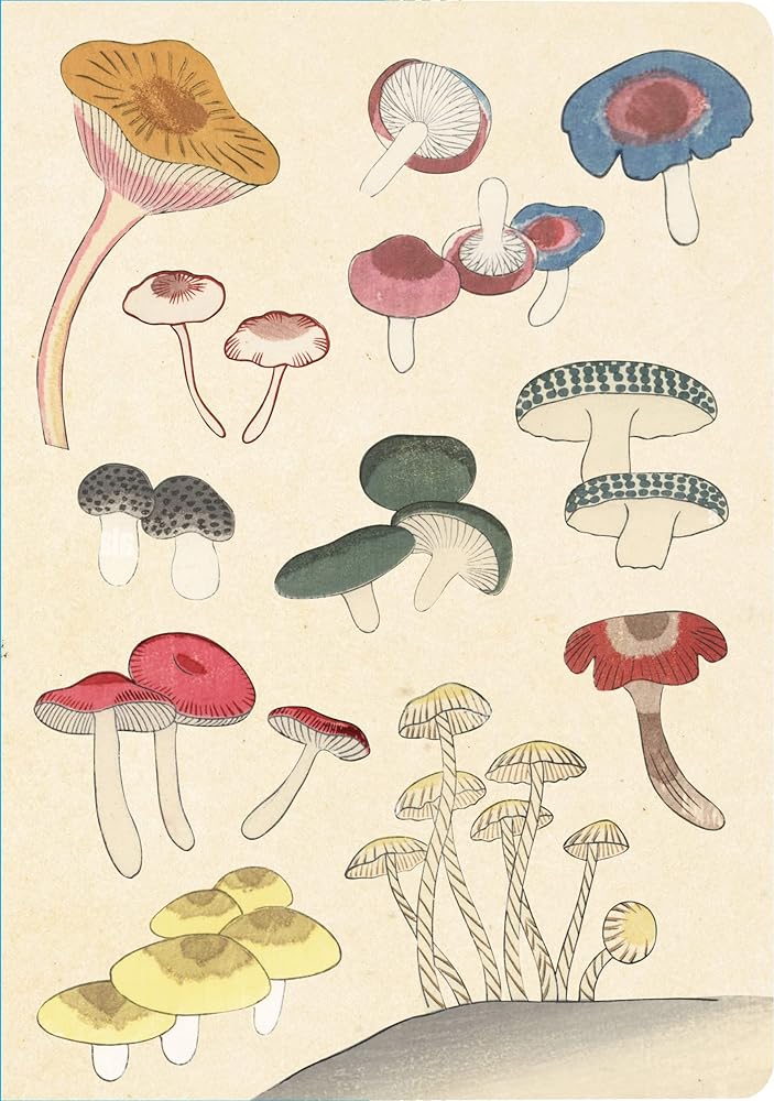 Healing Mushrooms Lined Paperback Journal: Blank Notebook with Pocket cover image