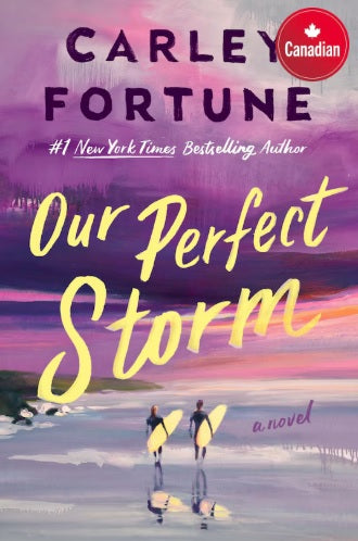 Our Perfect Storm cover image