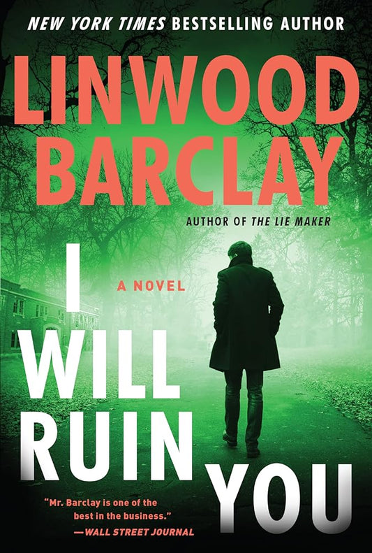 I Will Ruin You: A Novel cover image