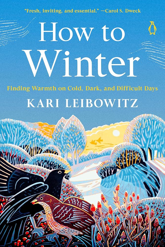 How to Winter: Finding Warmth on Cold, Dark, and Difficult Days cover image