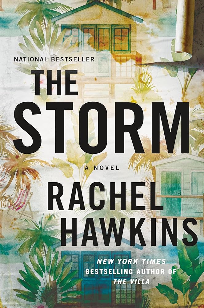 The Storm: A Novel cover image