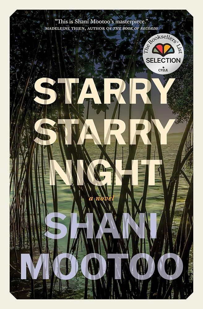 Starry Starry Night: a novel cover image