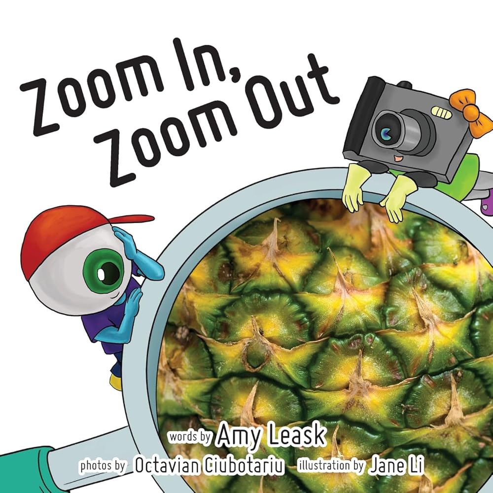 Zoom In, Zoom Out cover image