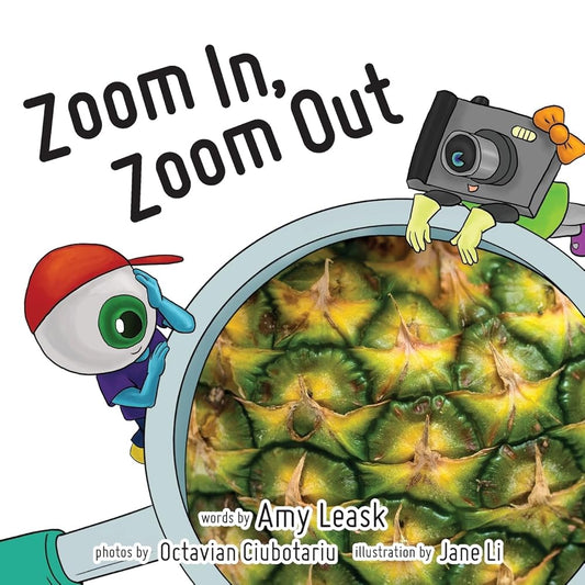 Zoom In, Zoom Out cover image