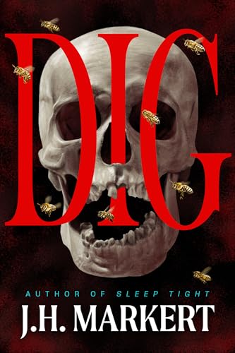 Dig cover image